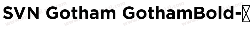 SVN Gotham GothamBold字体转换